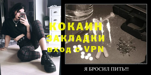 прущие грибы Дмитриев