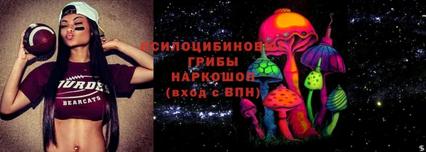стаф Алексеевка