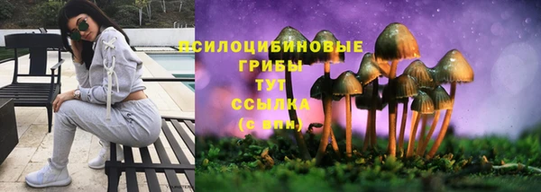 стаф Алексеевка