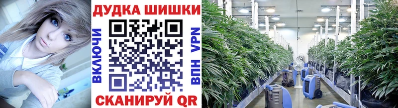 Канабис планчик  Лобня 